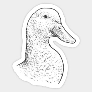 Zac Duck Sticker